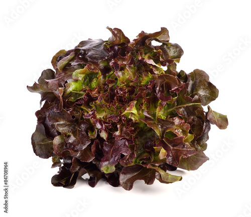 Red lettuce, Red oak leaf on a white background, Salad vegetable