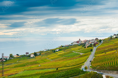 Lavaux vineyards in autumn  Switzerland