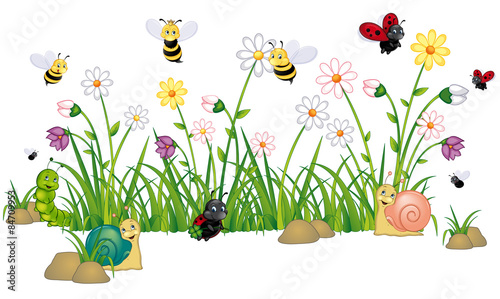buntes Treiben auf der Blumenwiese