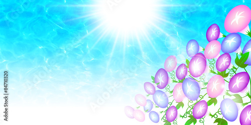 あさがお　海　背景