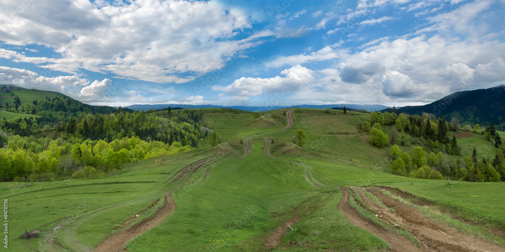 Path through meadow in Carpathian Mountains