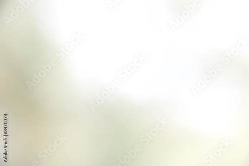 green bokeh from tree can be used as background