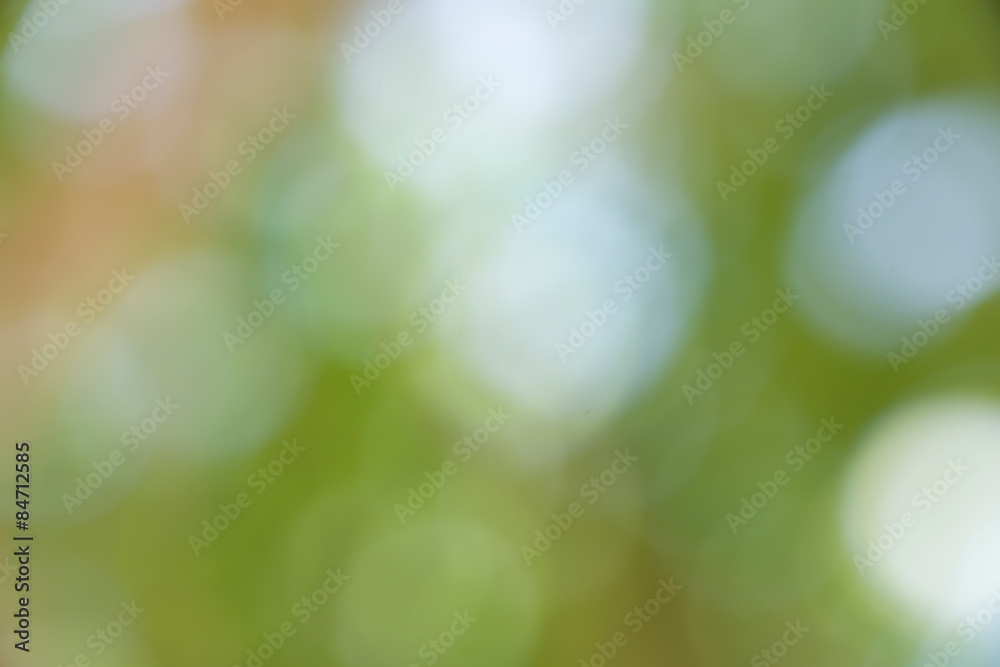Obraz premium green bokeh from tree can be used as background