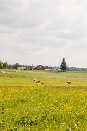 Saignelégier, Dorf, Freiberge, Jurahochfläche, Jura, Landwirtschaft, Frühling, Sommer, Schweiz photo