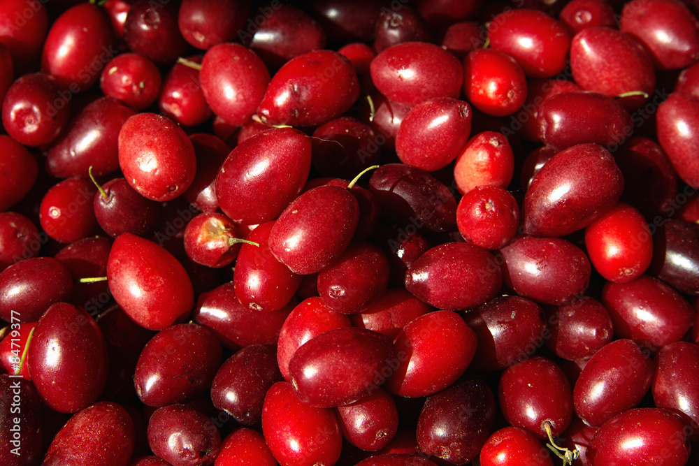 Cornelian cherries at the farmers market, close up Cornelian cherries at the farmers market, close up