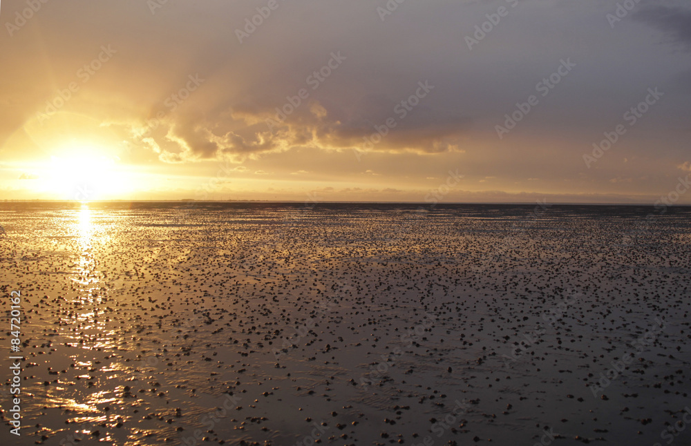 Wattenmeer, Schleswig-Holstein, Deutschland Wattenmeer, Schleswig-Holstein, Deutschland