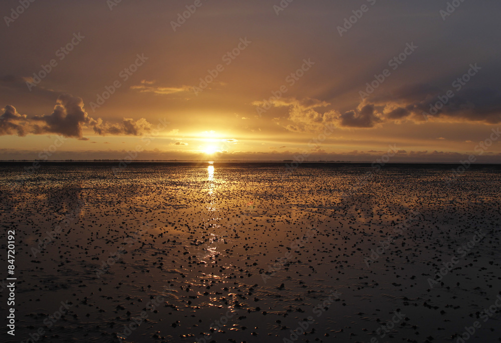 Wattenmeer, Schleswig-Holstein, Deutschland Wattenmeer, Schleswig-Holstein, Deutschland