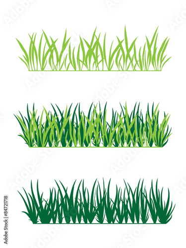 background of green grass