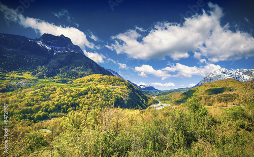 Colorful summer morning in the Alps