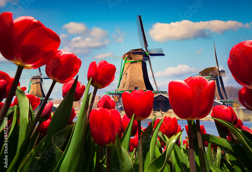 The famous Dutch windmills