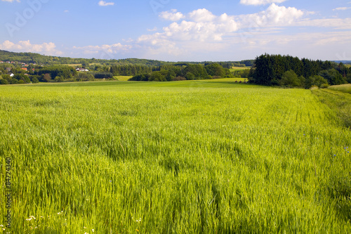 Agriculture landscape