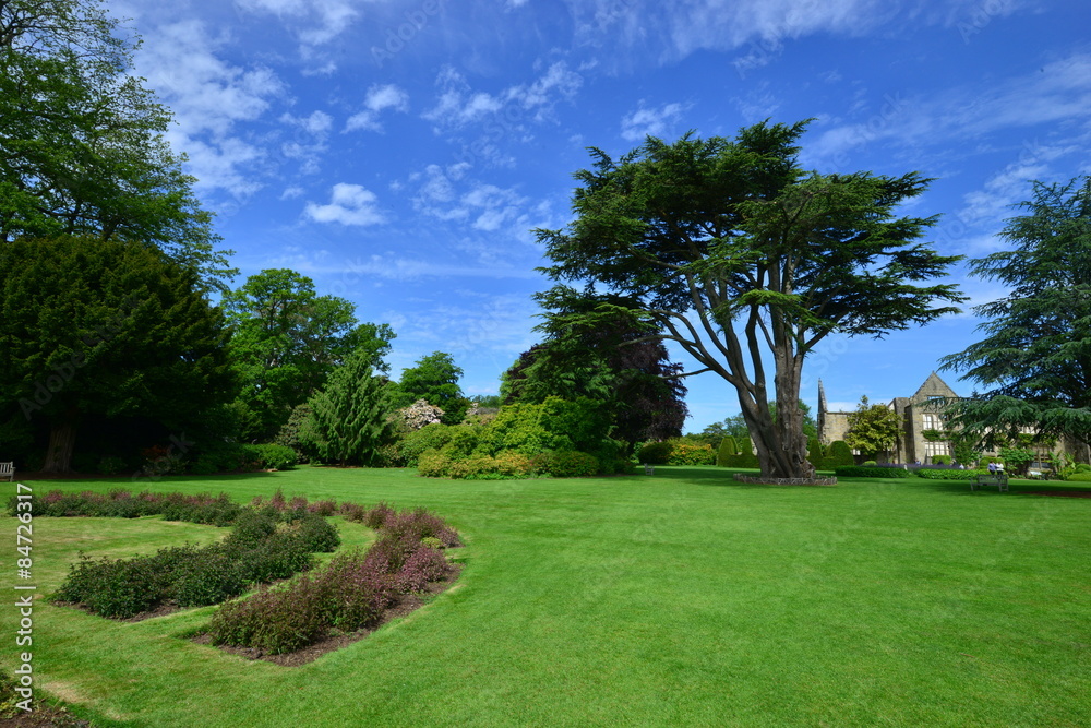 A burnt out English country estate and gardens in June 2015