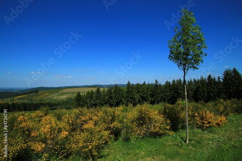 Hochsauerland photo