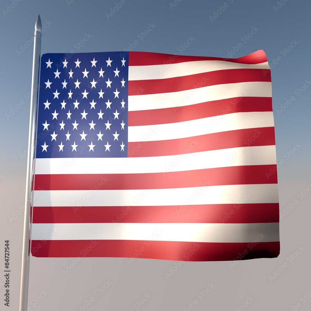 Obraz premium USA flag