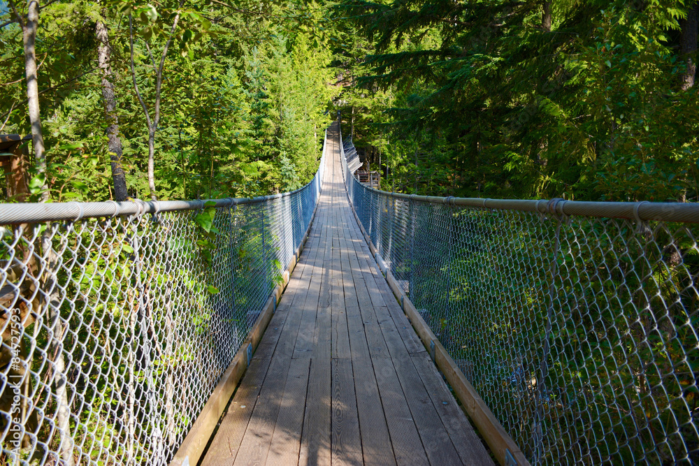 Hängebrücke bei den Cracy Creek Falls, British Columbia, Kanada Hängebrücke bei den Cracy Creek Falls, British Columbia, Kanada