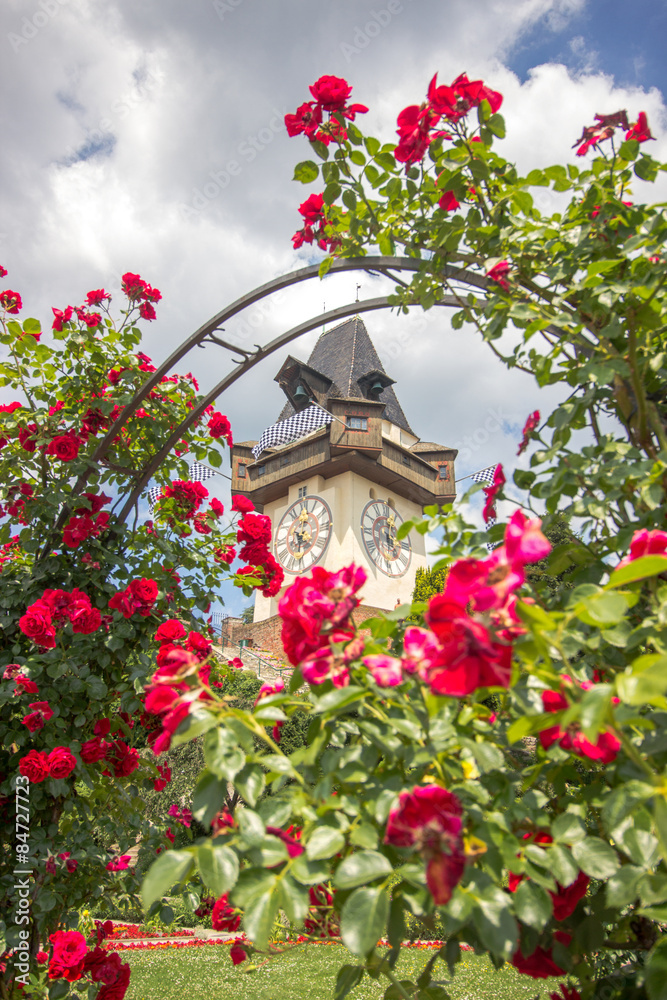 Grazer Uhrturm mit Rosen