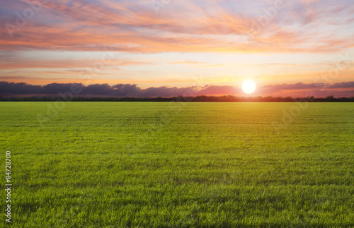 green field at sunset