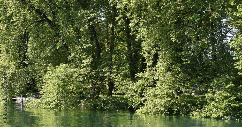 Limmat à zurich