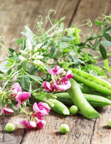 Fresh green peas  selective focus