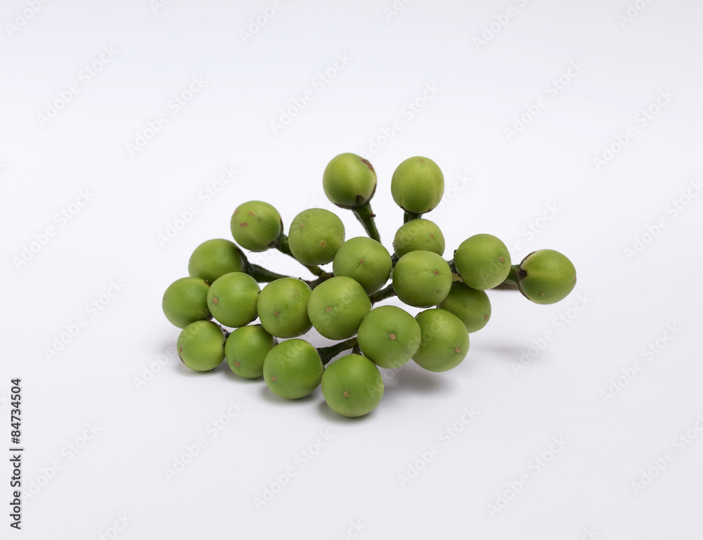 Pea Eggplant on white background Pea Eggplant on white background