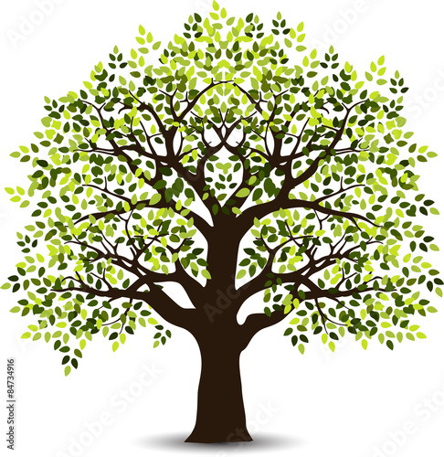 tree vector