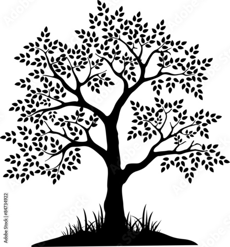tree silhouette for you design