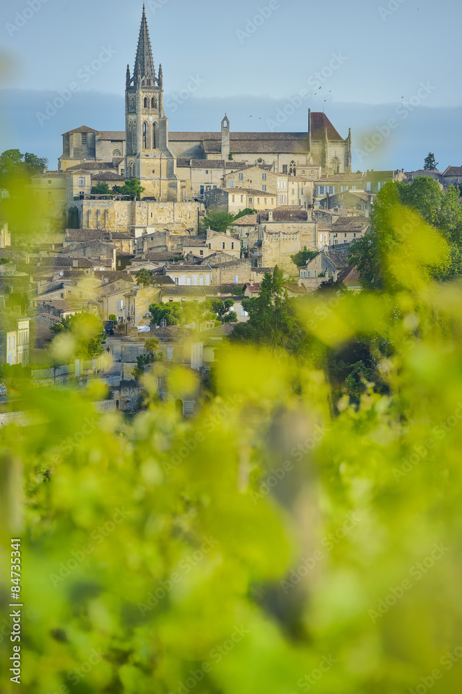 Vineyard and village of Saint-Emilion