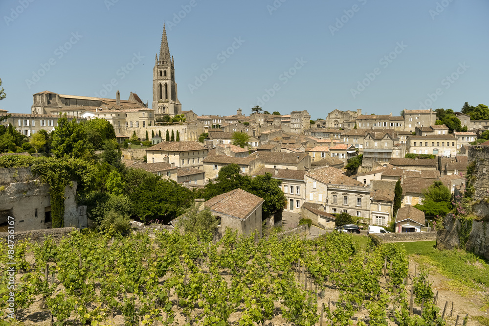 Vineyard and village of Saint-Emilion