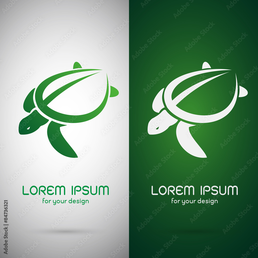 Obraz premium Vector of a turtle design on white background. Animals.