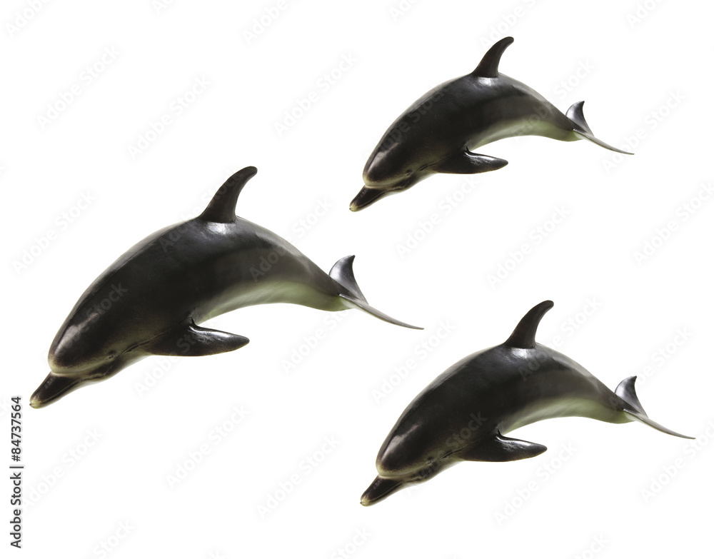 Fototapeta premium Dolphins