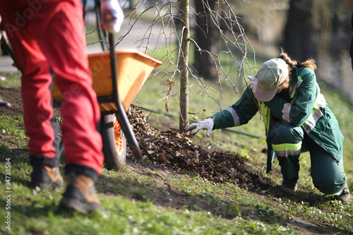 Stampa su tela Woman in uniform planting a tree in a public park