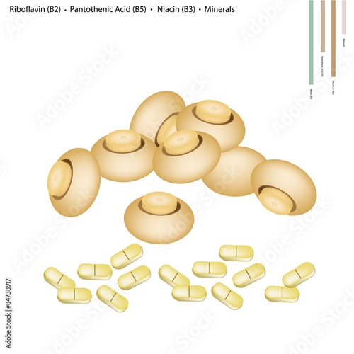 Champignon Mushrooms with Vitamin B2, B5 and B3