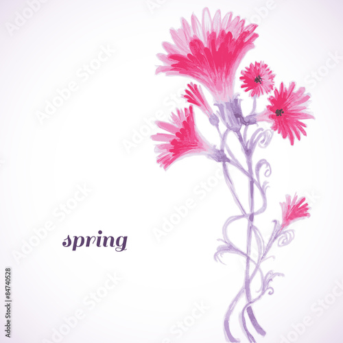 Pink flowers watercolor painting  spring background