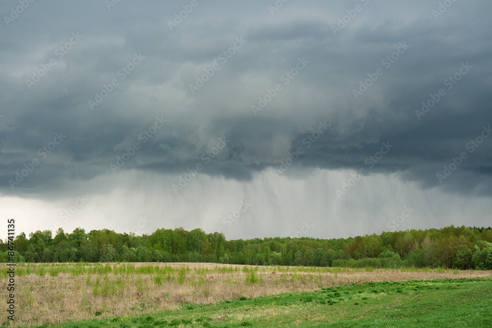 Thunderstorm over forest. Spring rain in the nature. Thunderstorm over forest. Spring rain in the nature.
