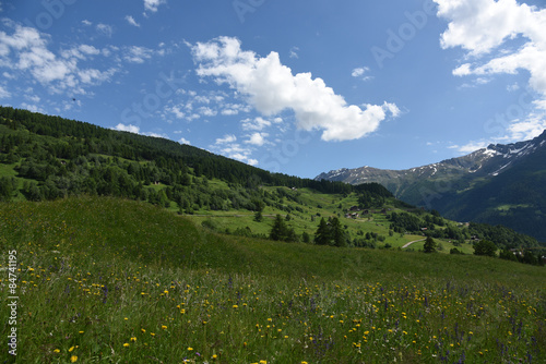 paesaggio montagna estate prato verde cielo