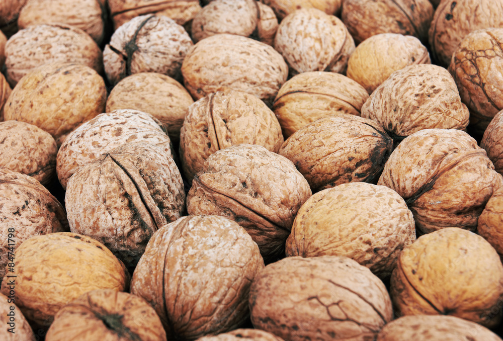 walnut background walnut background