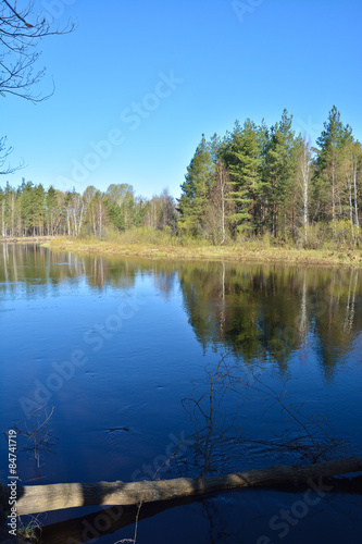 River landscape in spring. © sergunt