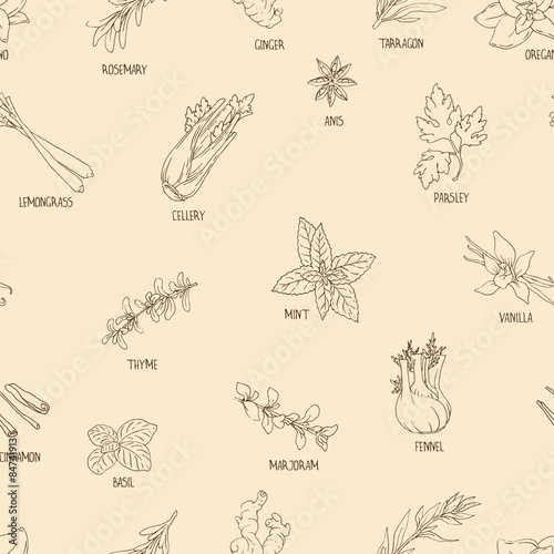 Seamless pattern with hand-drawn spices