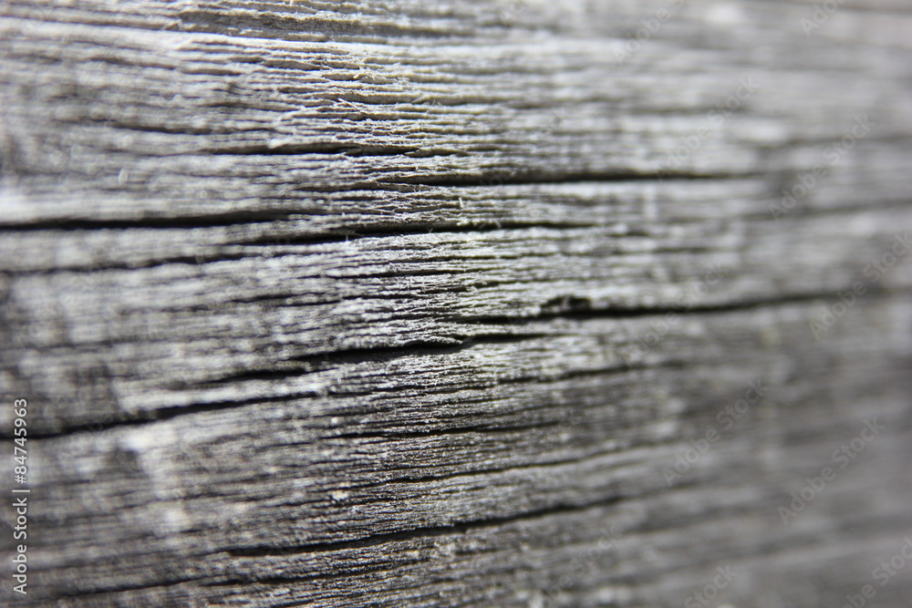 Wood log