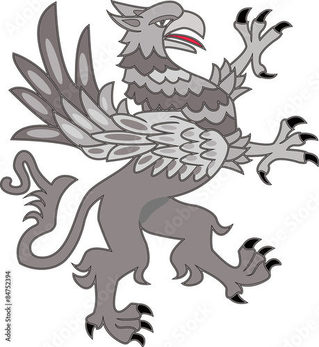 A vector illustration of a fighting grey griffin