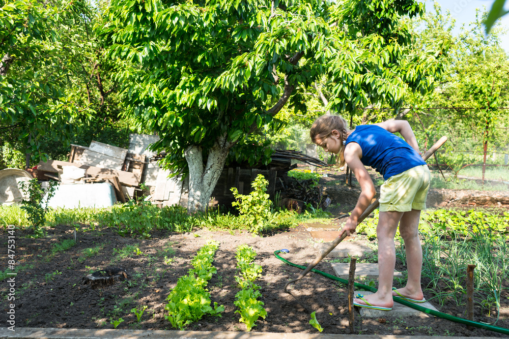 Young girl working in a vegetable garden Young girl working in a vegetable garden