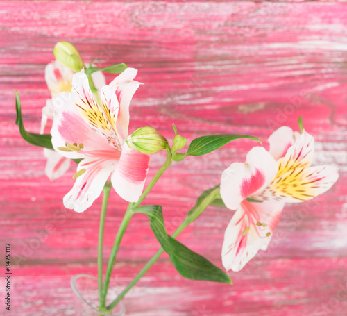 Fototapeta Naklejka Na Ścianę i Meble -  flower on wood background