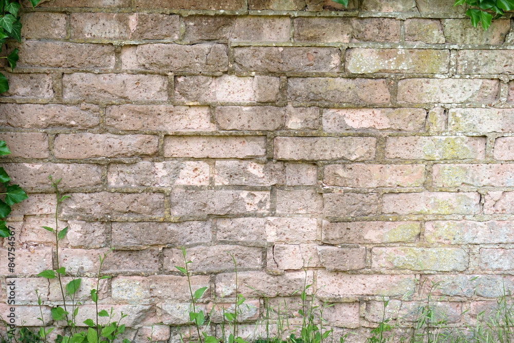 Obraz premium HIntergrund alte Mauer