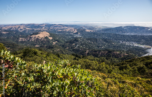Fototapeta Naklejka Na Ścianę i Meble -  View of Marin County covered byheavy fog under a blue sunny day. From the top of Mountain Tamalpais in Marin County