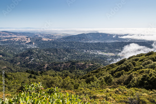 Marin County landscape