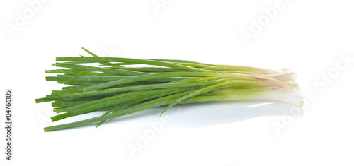 Green Onion on white background