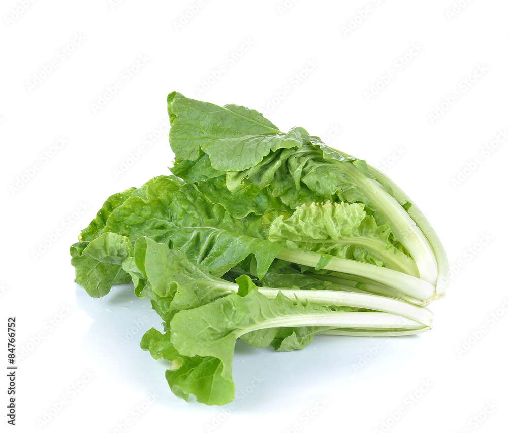Fresh lettuce isolated on white background Fresh lettuce isolated on white background
