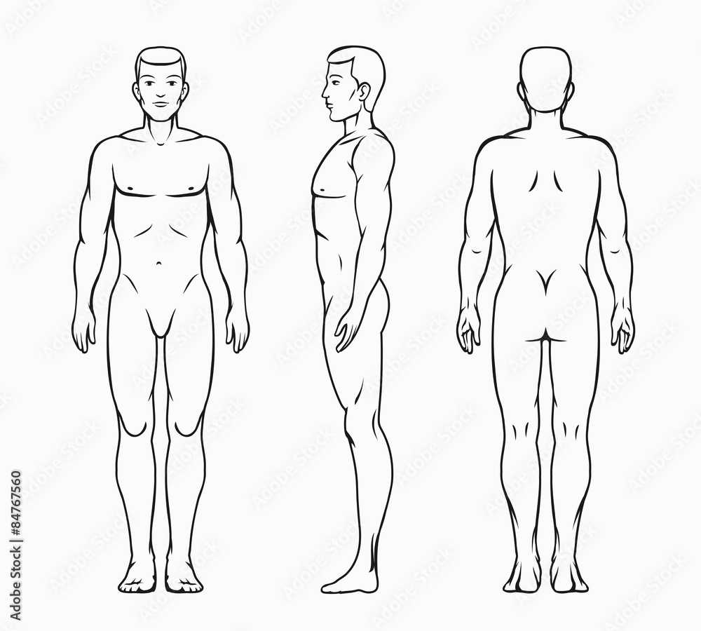 Male body vector illustration - obrazy, fototapety, plakaty 