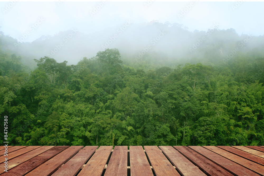Tropical forest above a wooden floor Tropical forest above a wooden floor