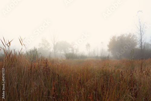 misty autumn morning